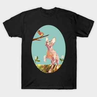 Curious Little Hairless Sphynx Kitten T-Shirt